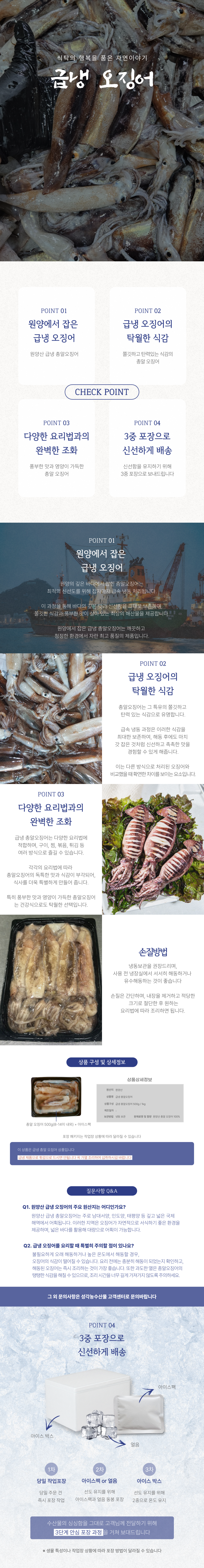 총알-오징어.png