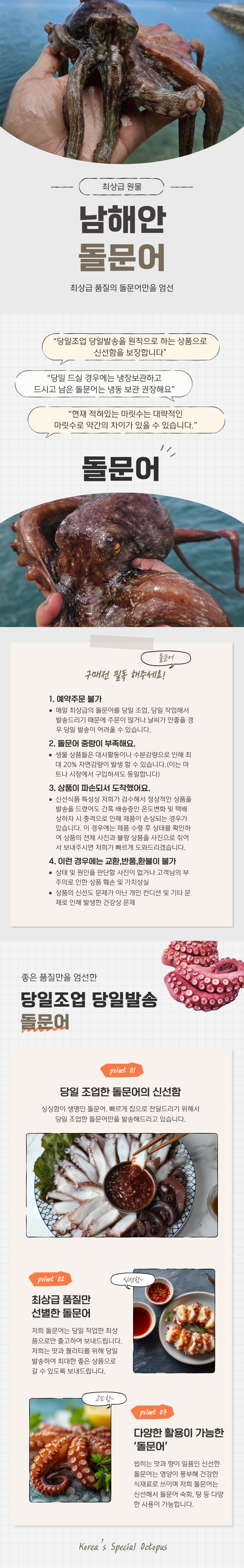 돌문어.png