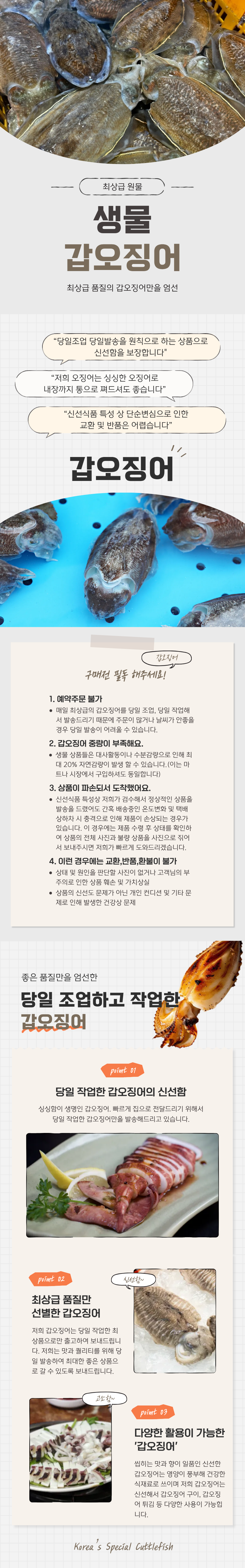 생물 갑오징어 자체.png