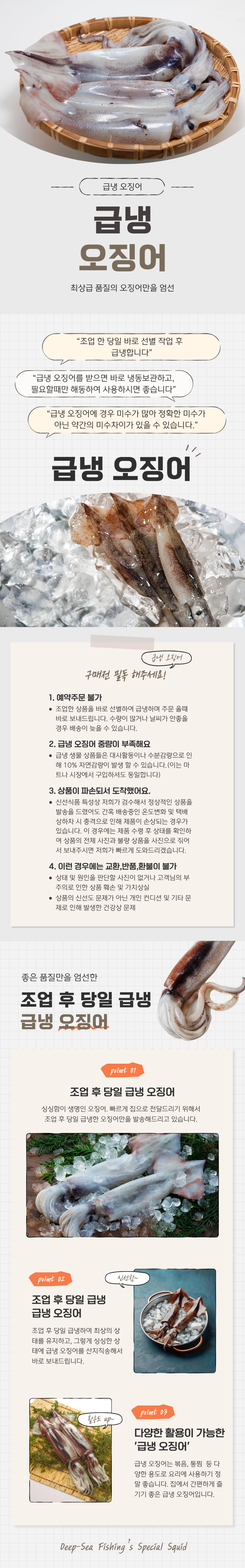 급냉 오징어 자체.png