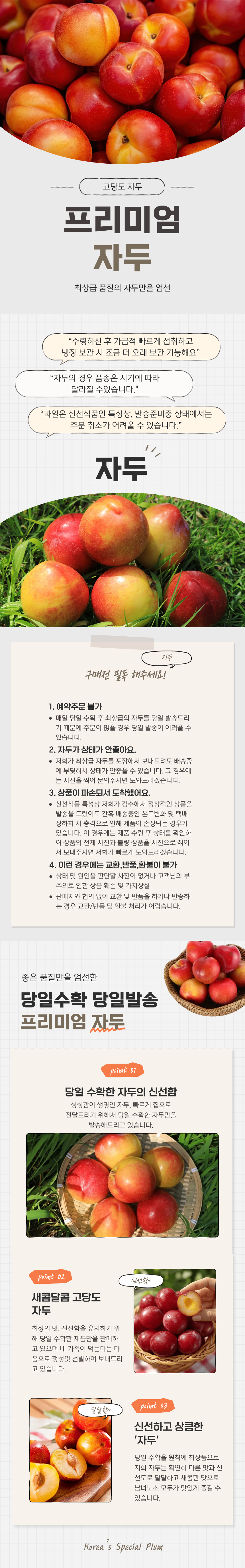 자두.png