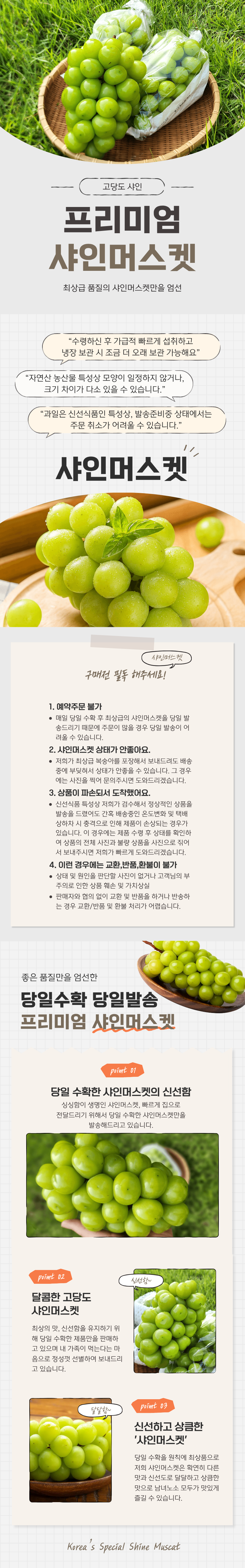 샤인머스켓.png