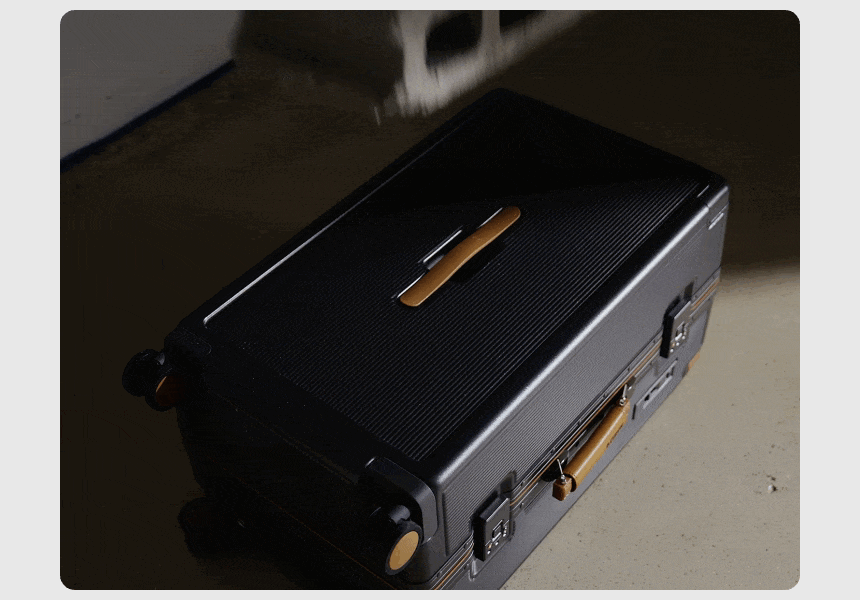 007_02_251027 017_2.gif