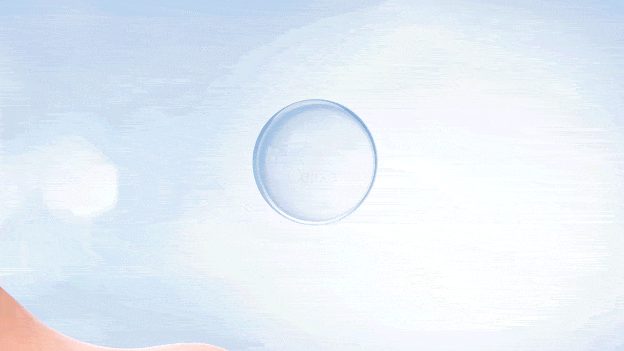 6.gif