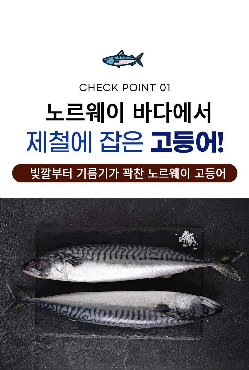 노르웨이 전체_03.jpg
