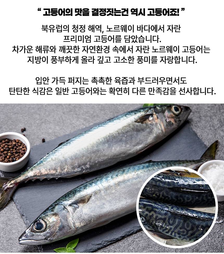 노르웨이 전체_04.jpg