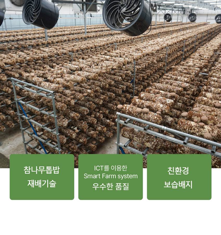 버섯 상페 1_04.jpg