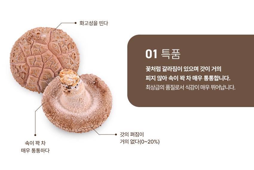 버섯 상페 1_07.jpg