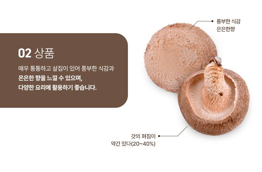 버섯 상페 1_08.jpg