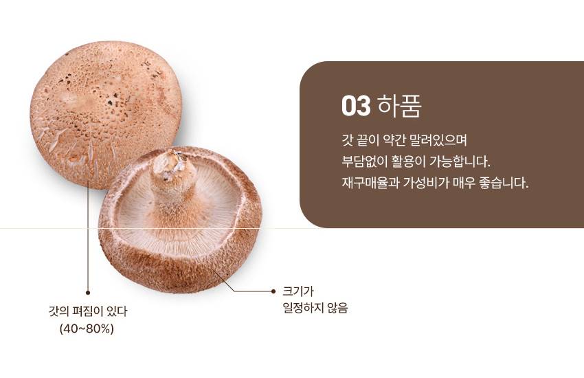 버섯 상페 1_09.jpg
