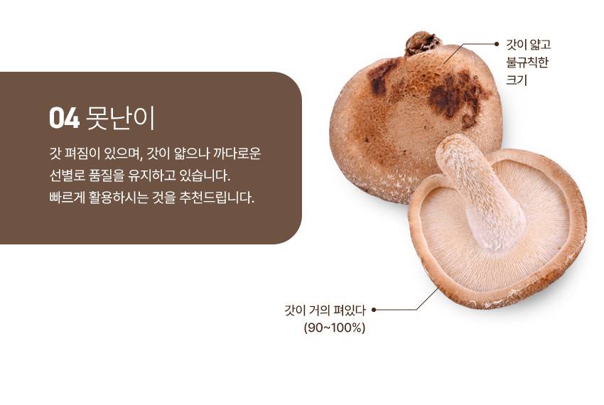 버섯 상페 1_10.jpg