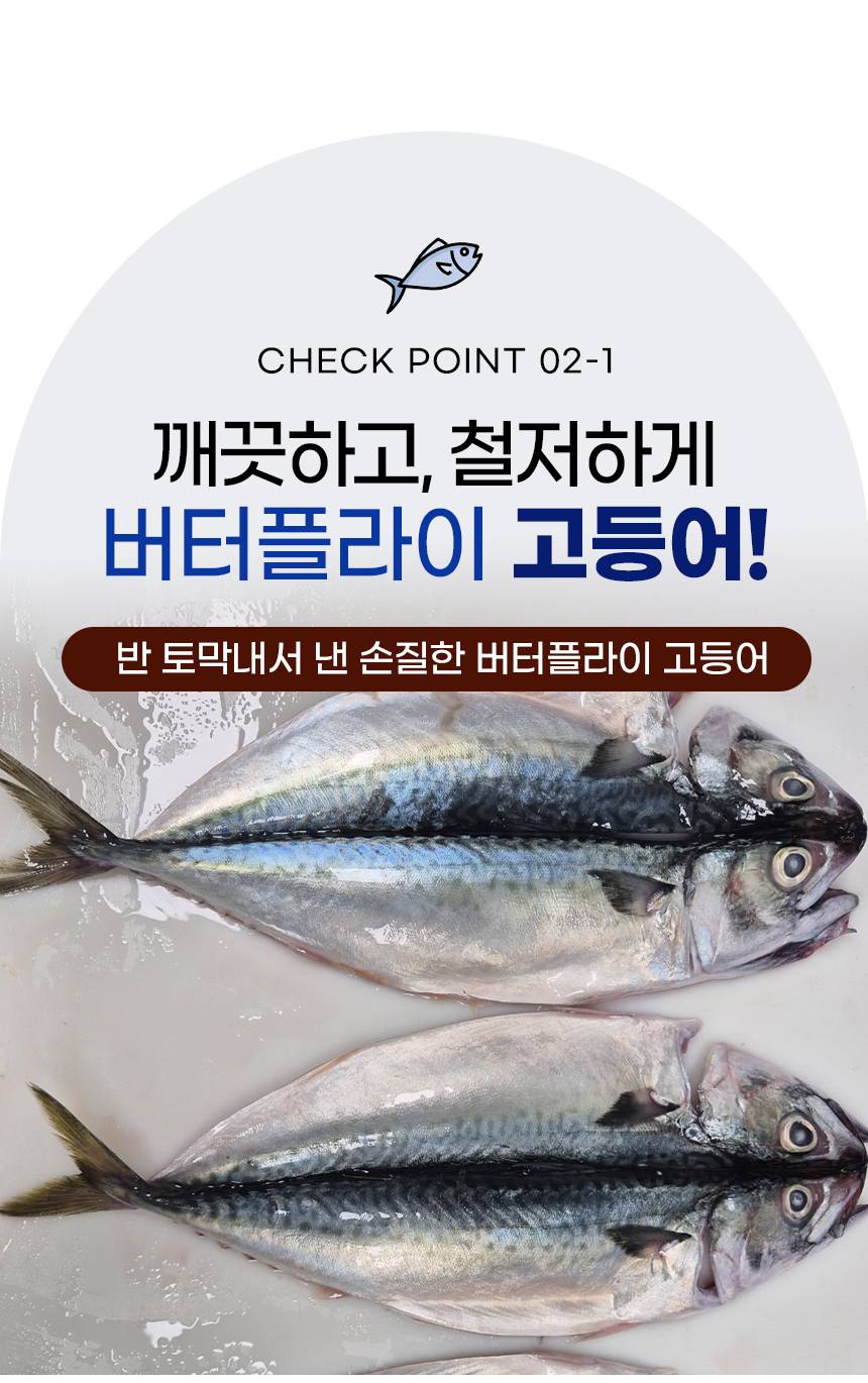 버터플라이 상페_11.jpg