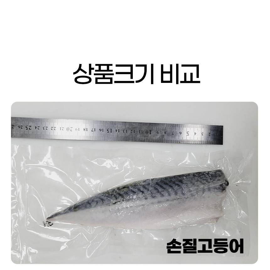 버터플라이 상페_20.jpg