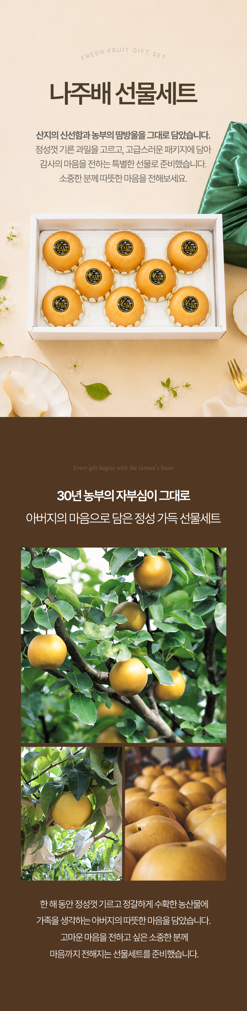 fruitman_b1_01.jpg