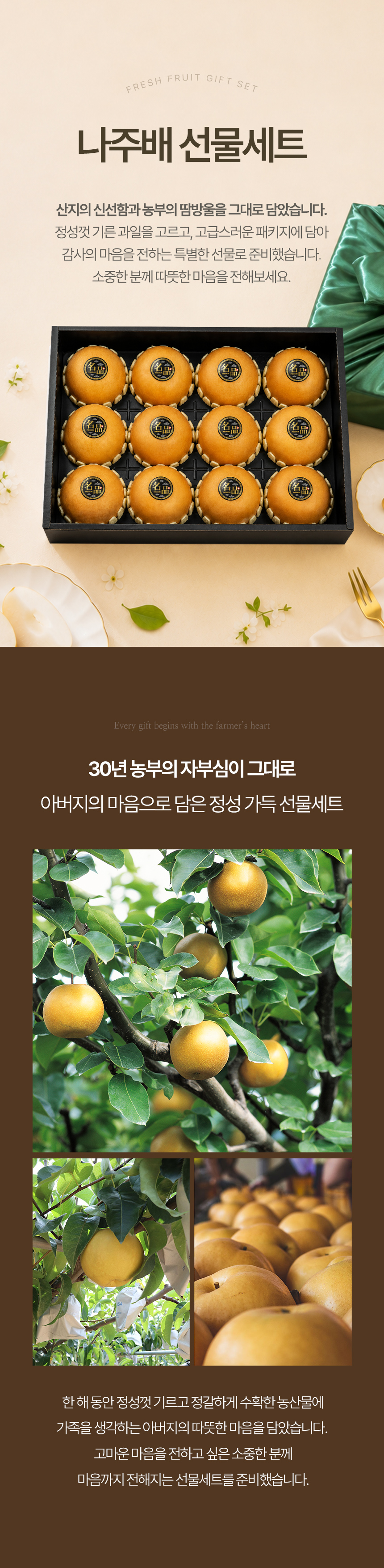 fruitman_b3_01.jpg