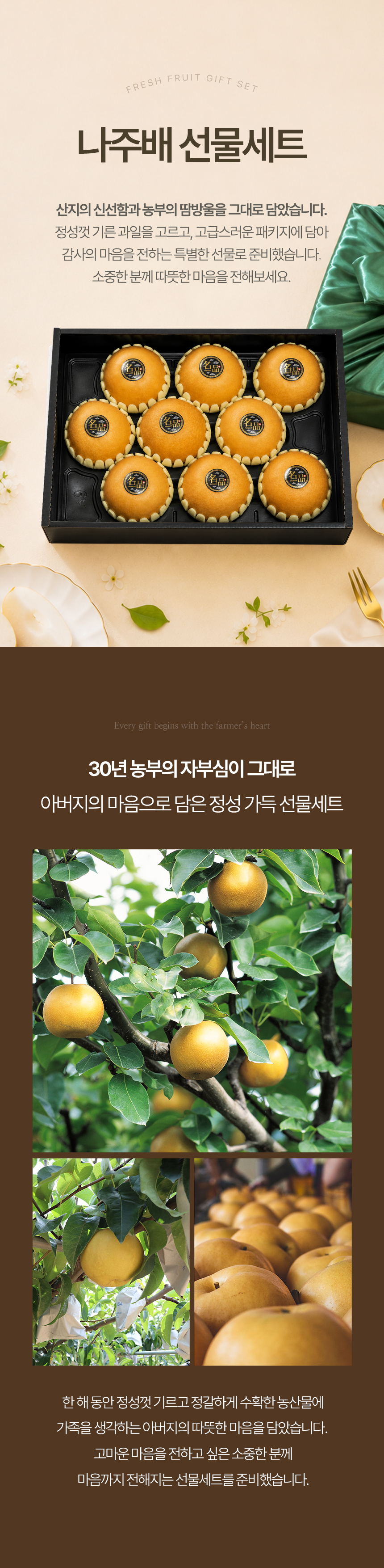 fruitman_b4_01.jpg