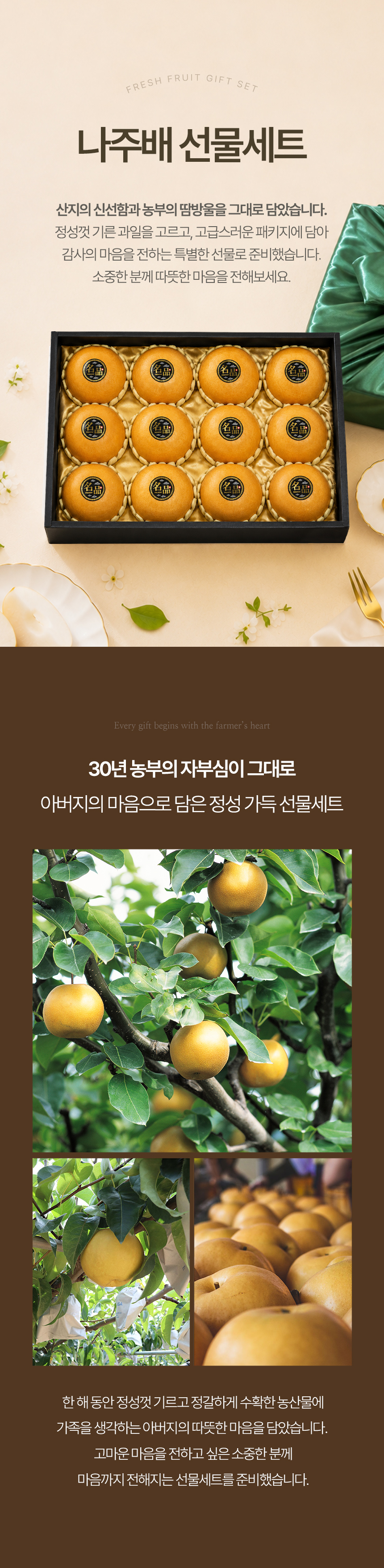 fruitman_tb1_01.jpg