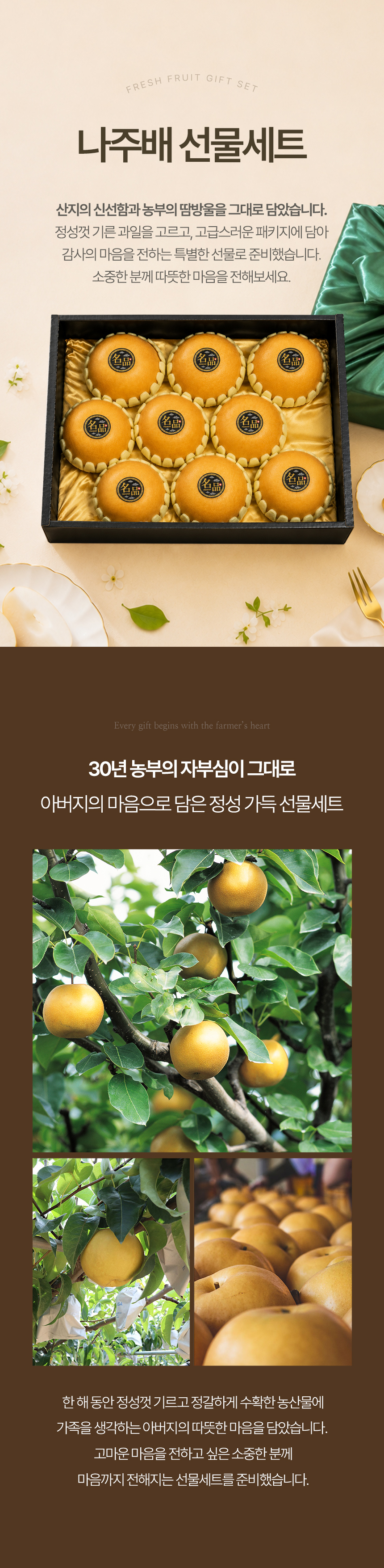 fruitman_tb2_01.jpg