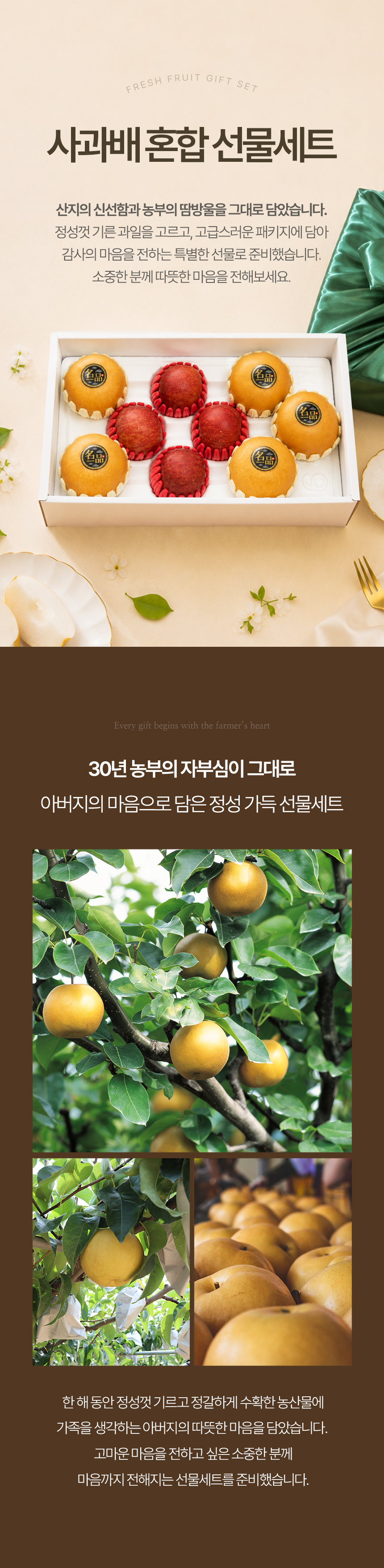 fruitman_ab1_01.jpg