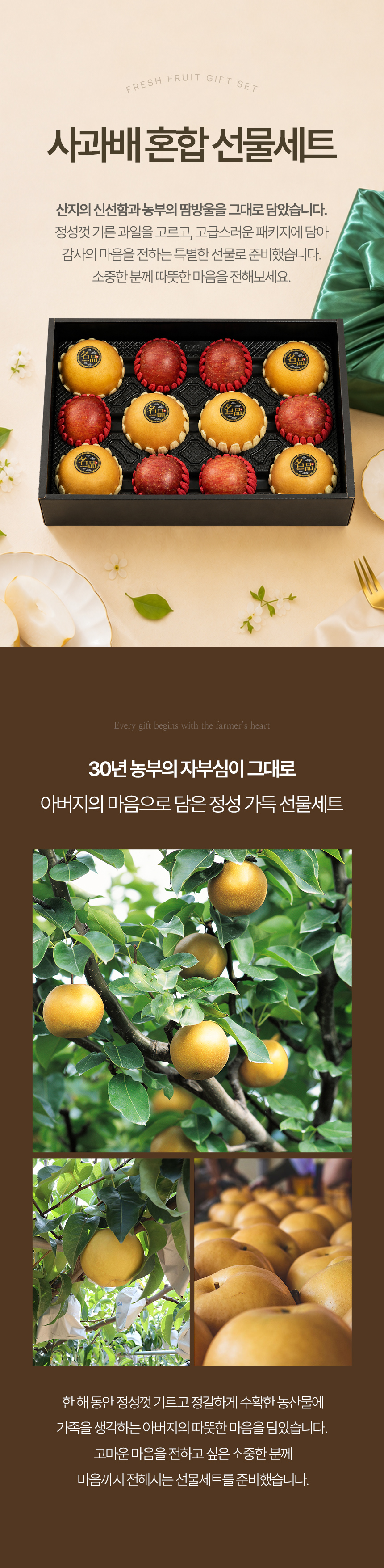 fruitman_ab2_01.jpg