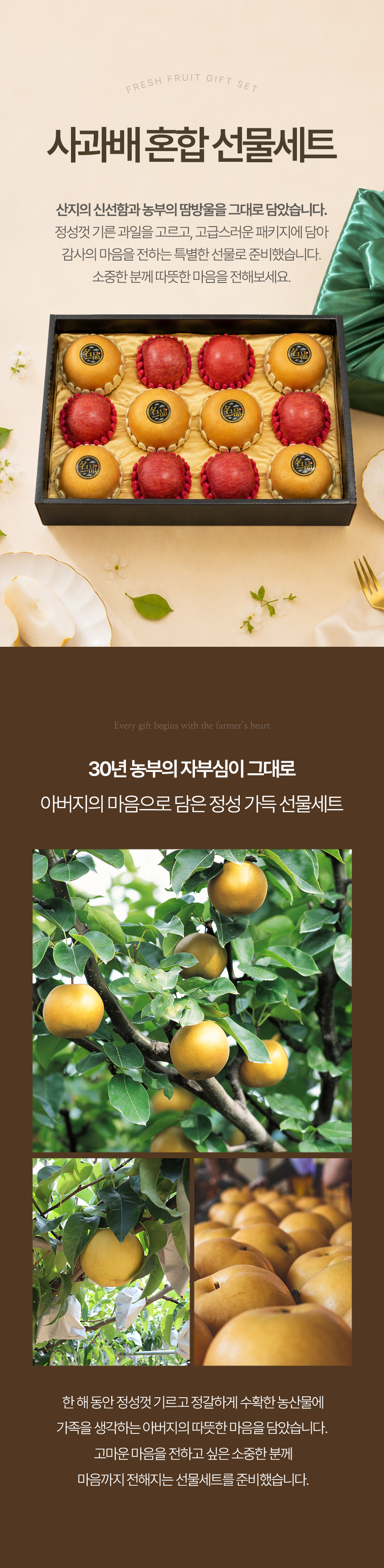 fruitman_ab3_01.jpg