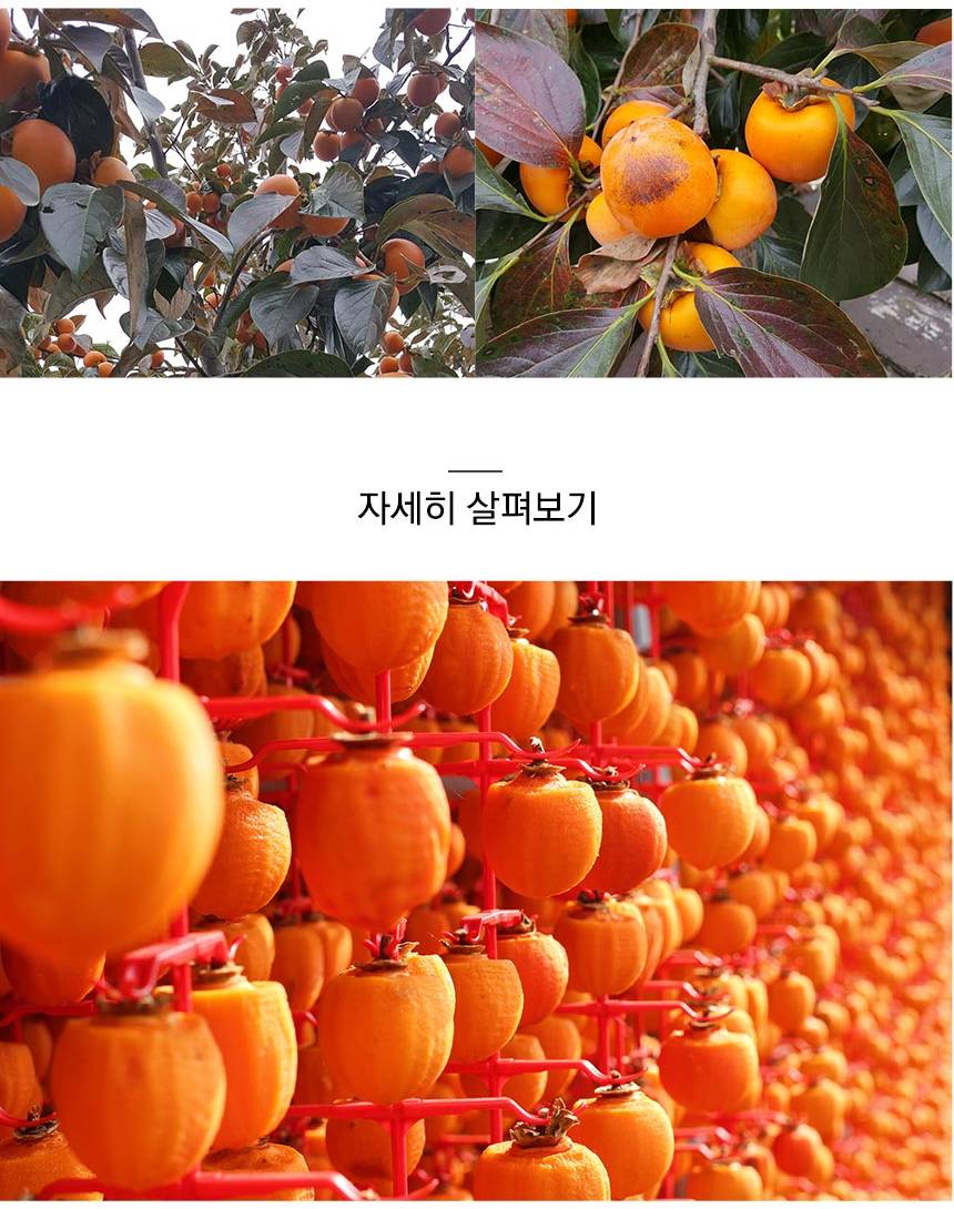 상세_11.jpg