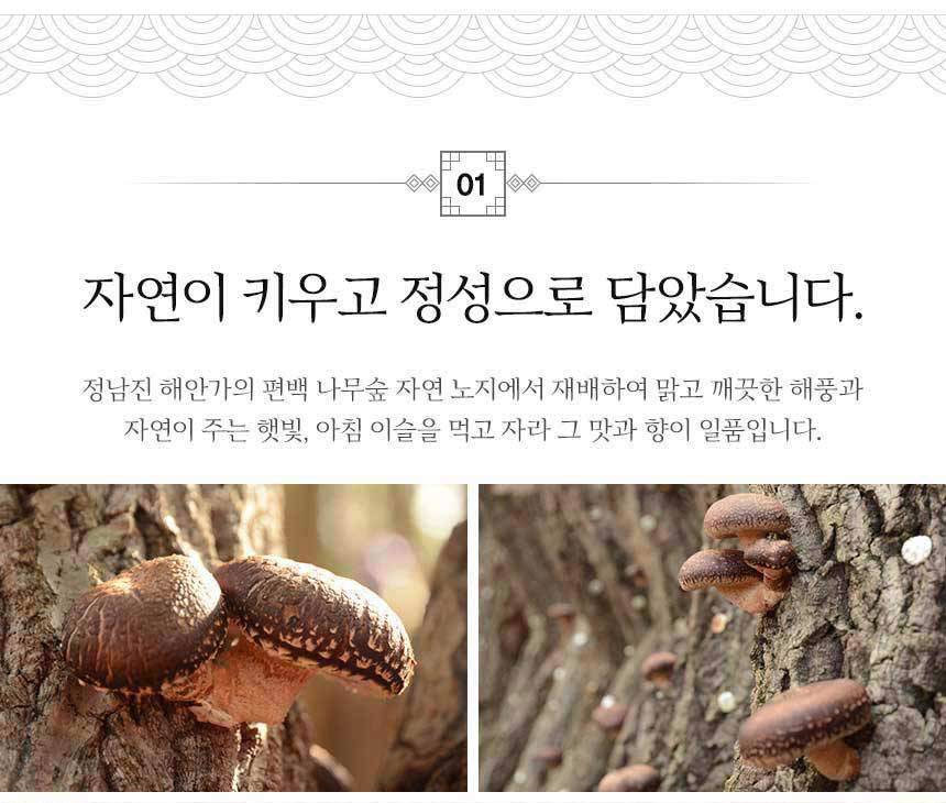 상세_05.jpg
