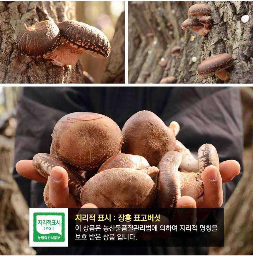 상세_05.jpg