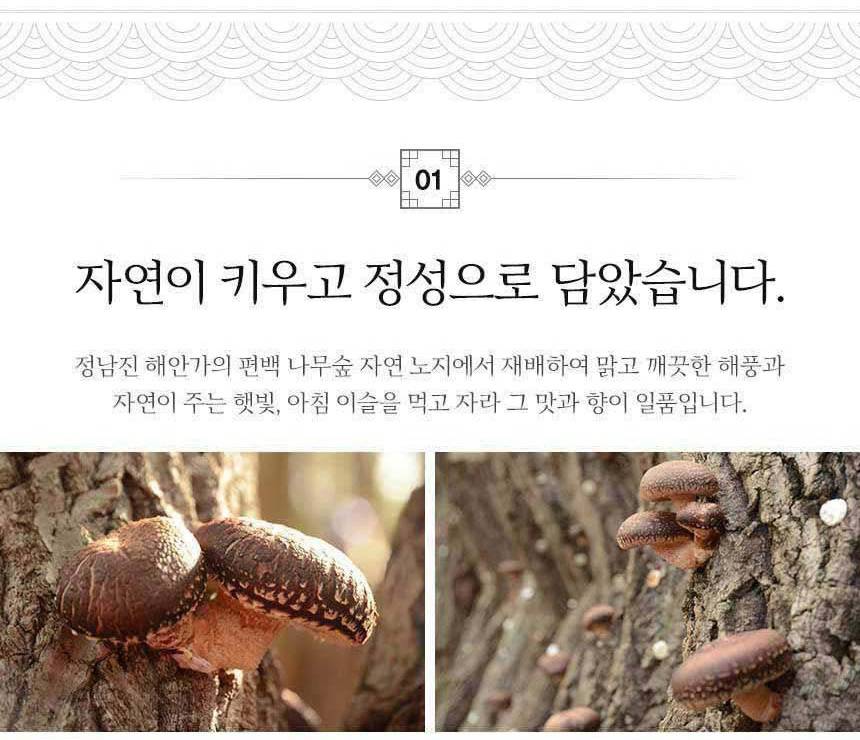 상세_05.jpg