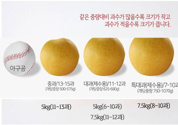 아리팜_2613.jpg