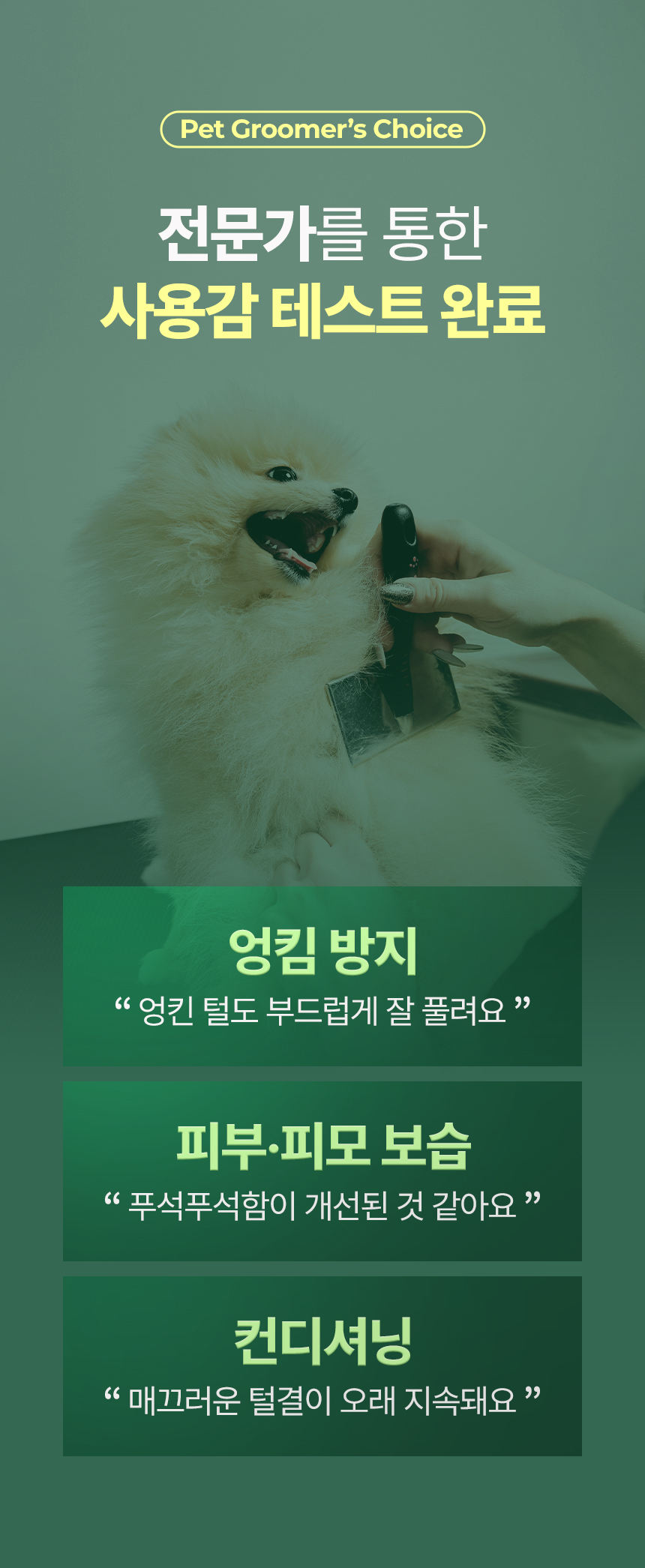 03.jpg