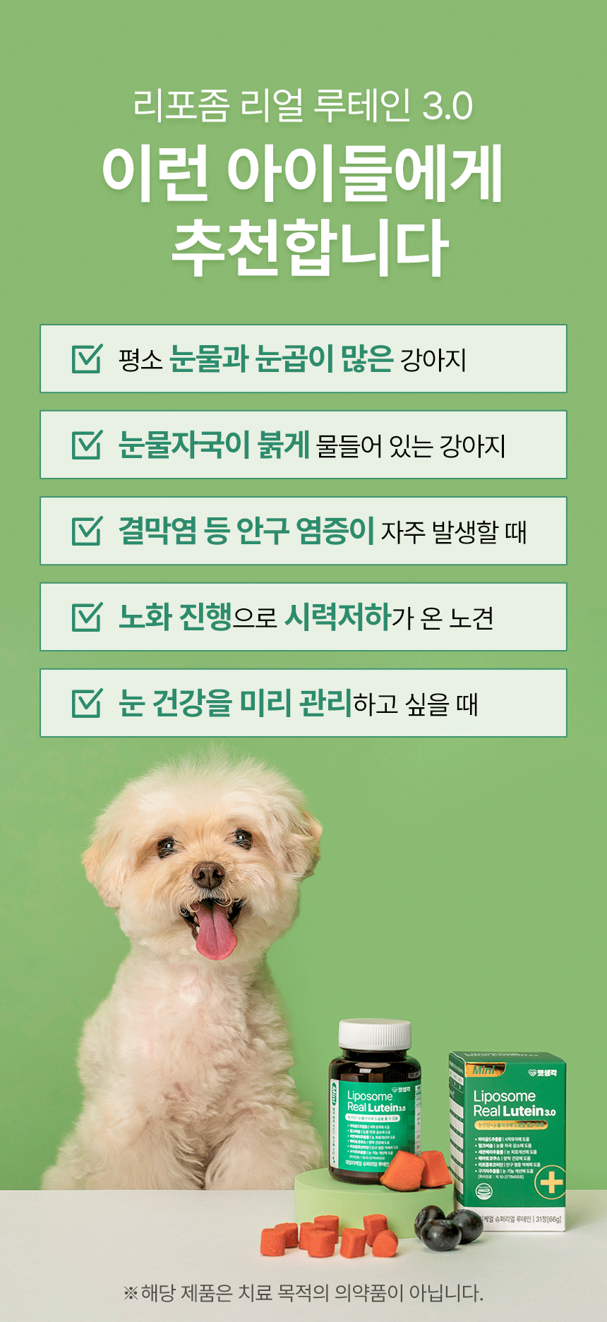 12.gif