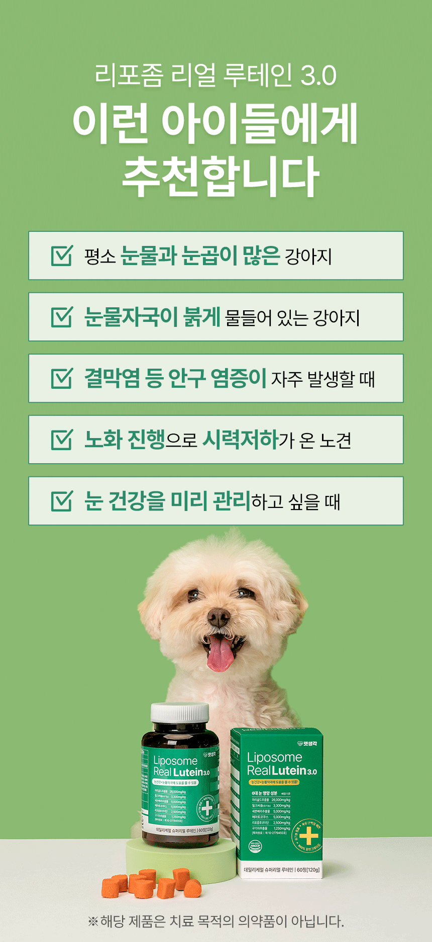 12.gif