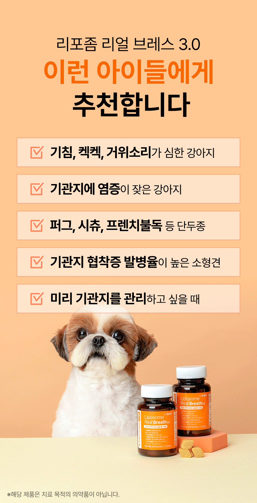 11.gif