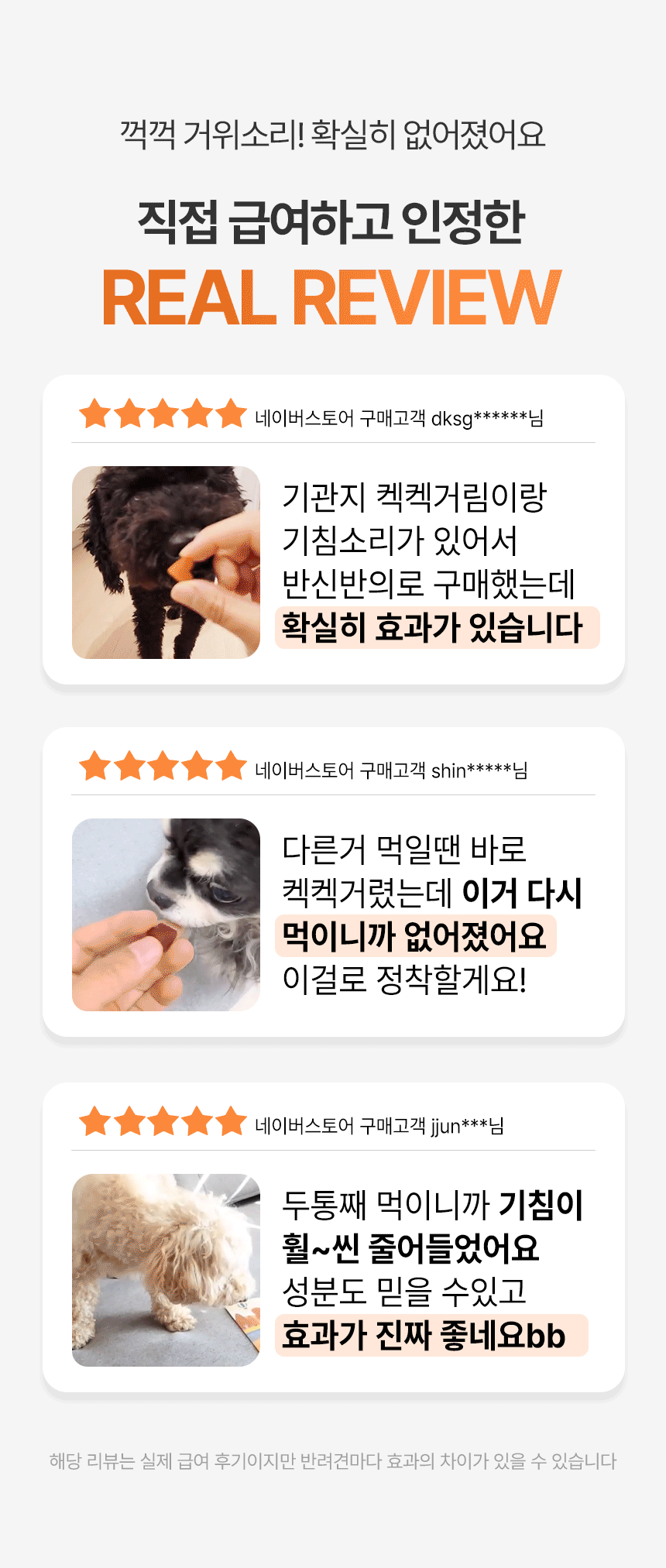 12.gif