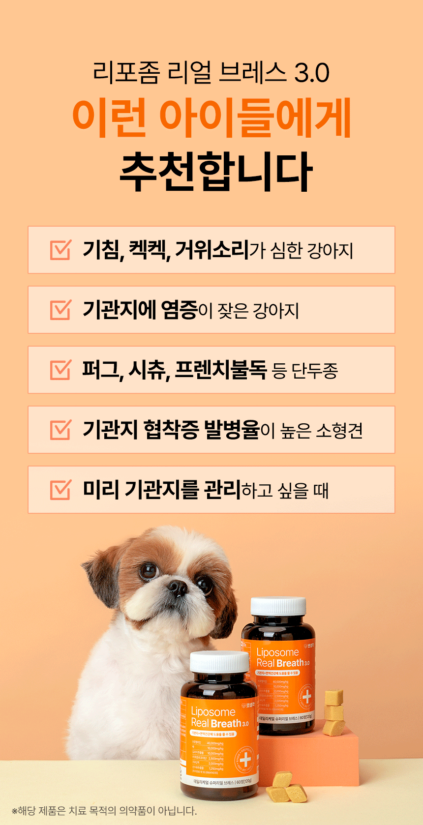 11.gif