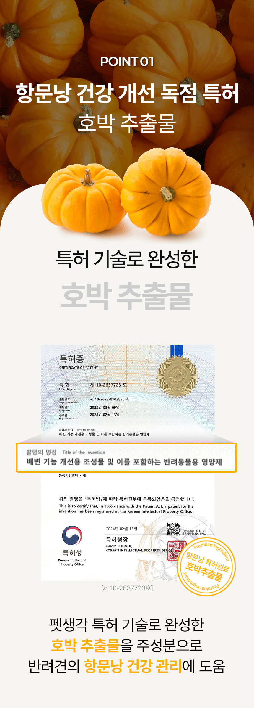 11.gif