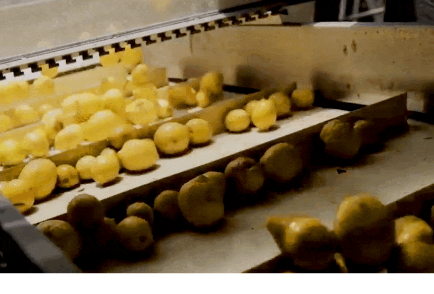 11-01.gif