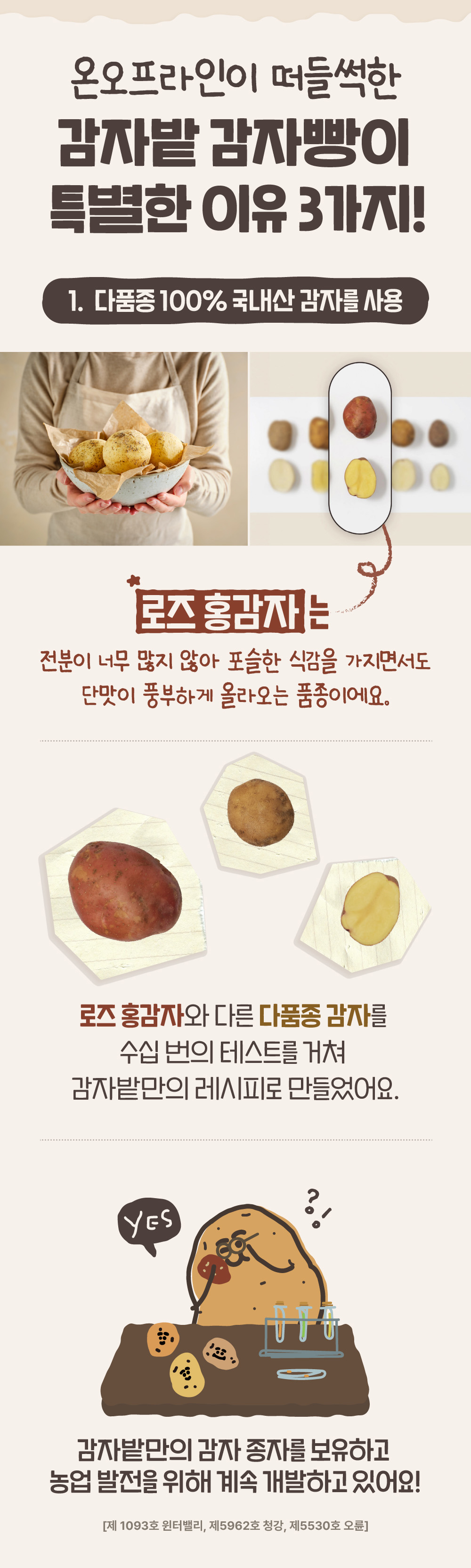 original_potato_10ea_07.jpg