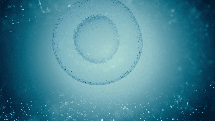 02_02_GIF.gif
