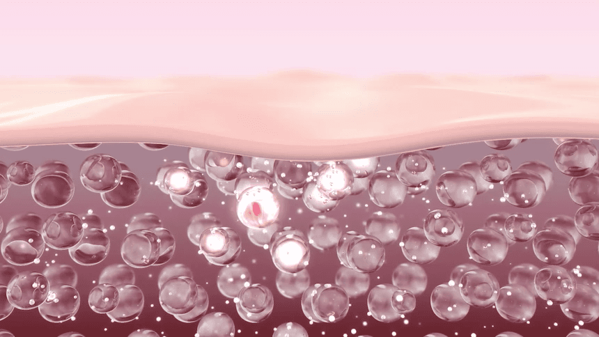 02_08_GIF.gif