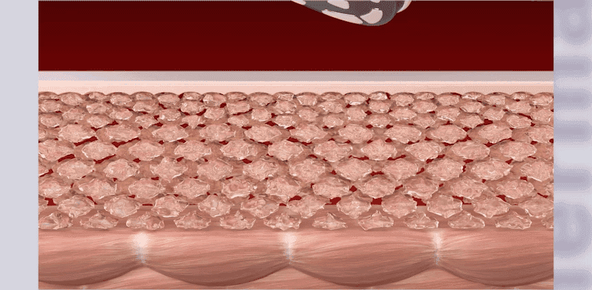 02_12_GIF.gif
