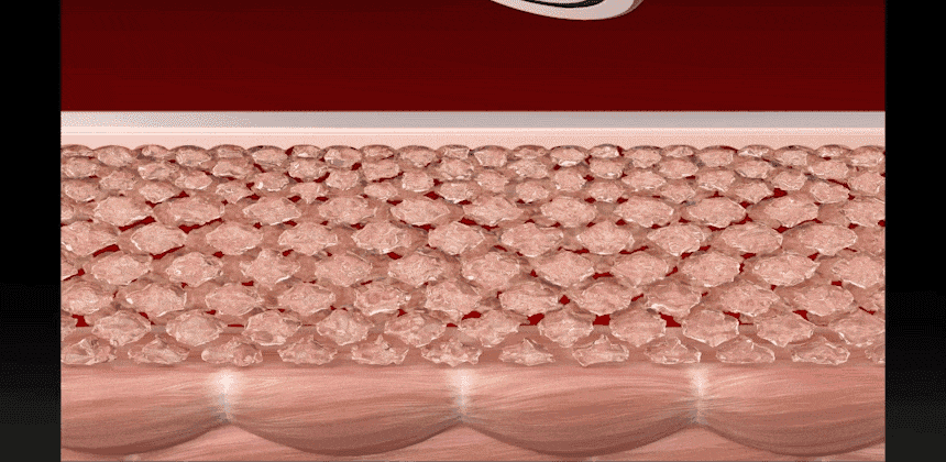 02_25_GIF.gif