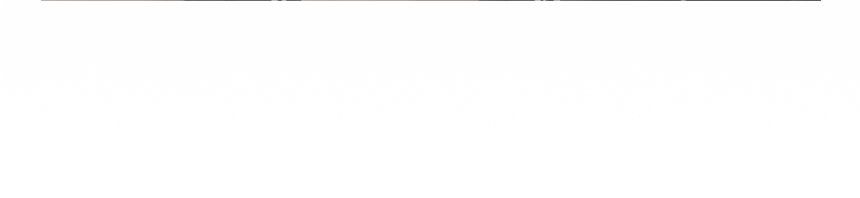 shopify_10.jpg