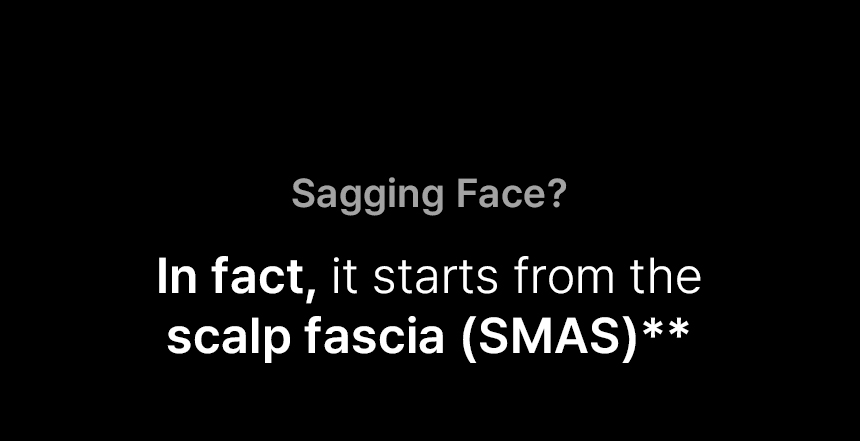 shopify_16.jpg
