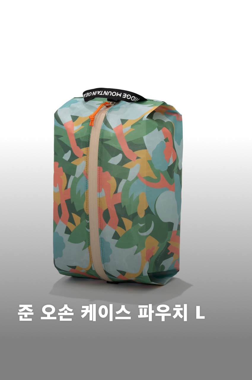 JUN OSON Case M 1.jpg