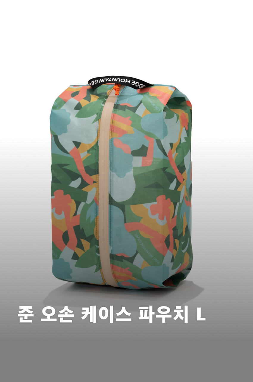 JUN OSON Case L 1.jpg