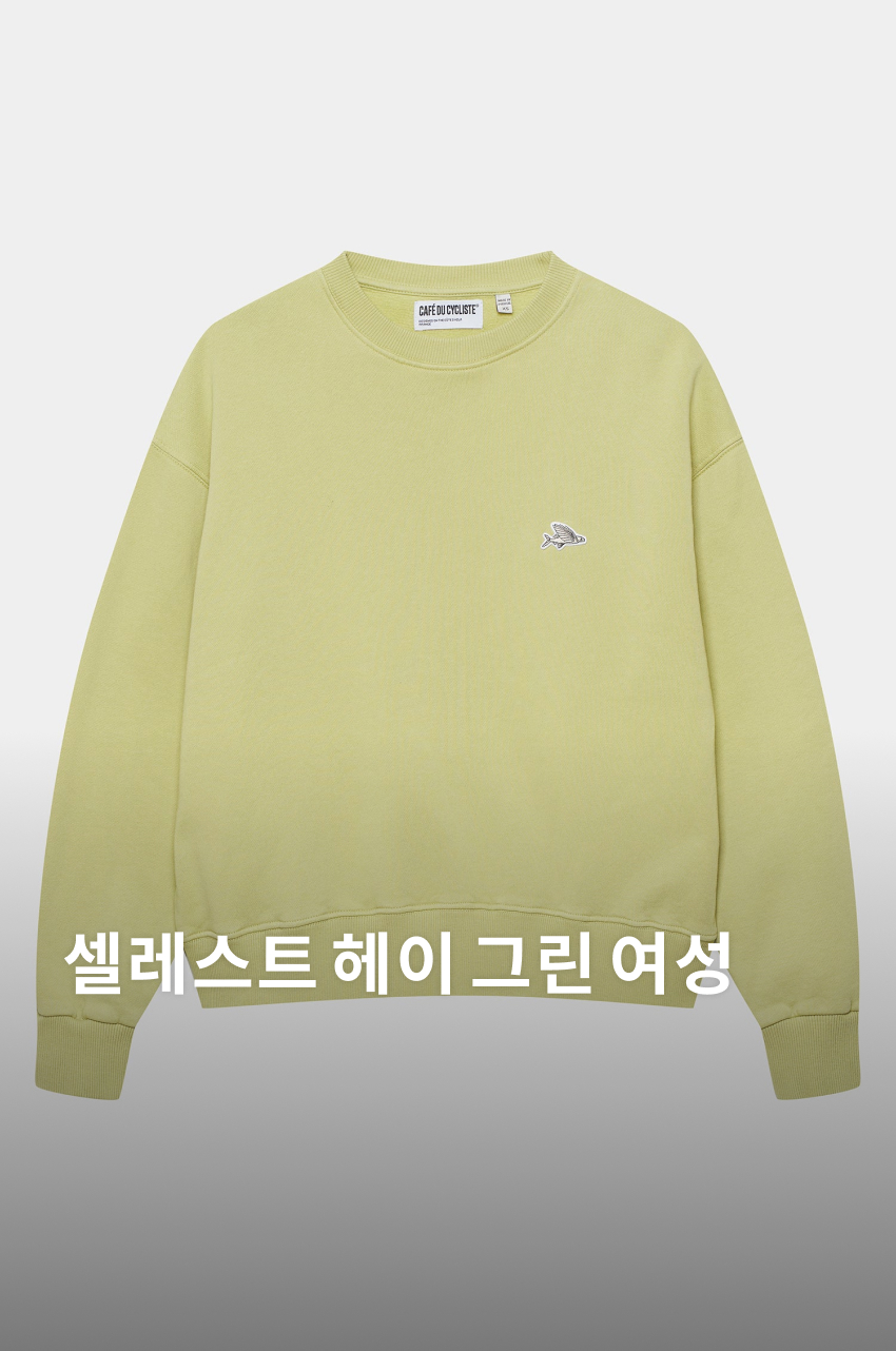 Celeste JSS W HAGR - 히어로 - 1.jpg