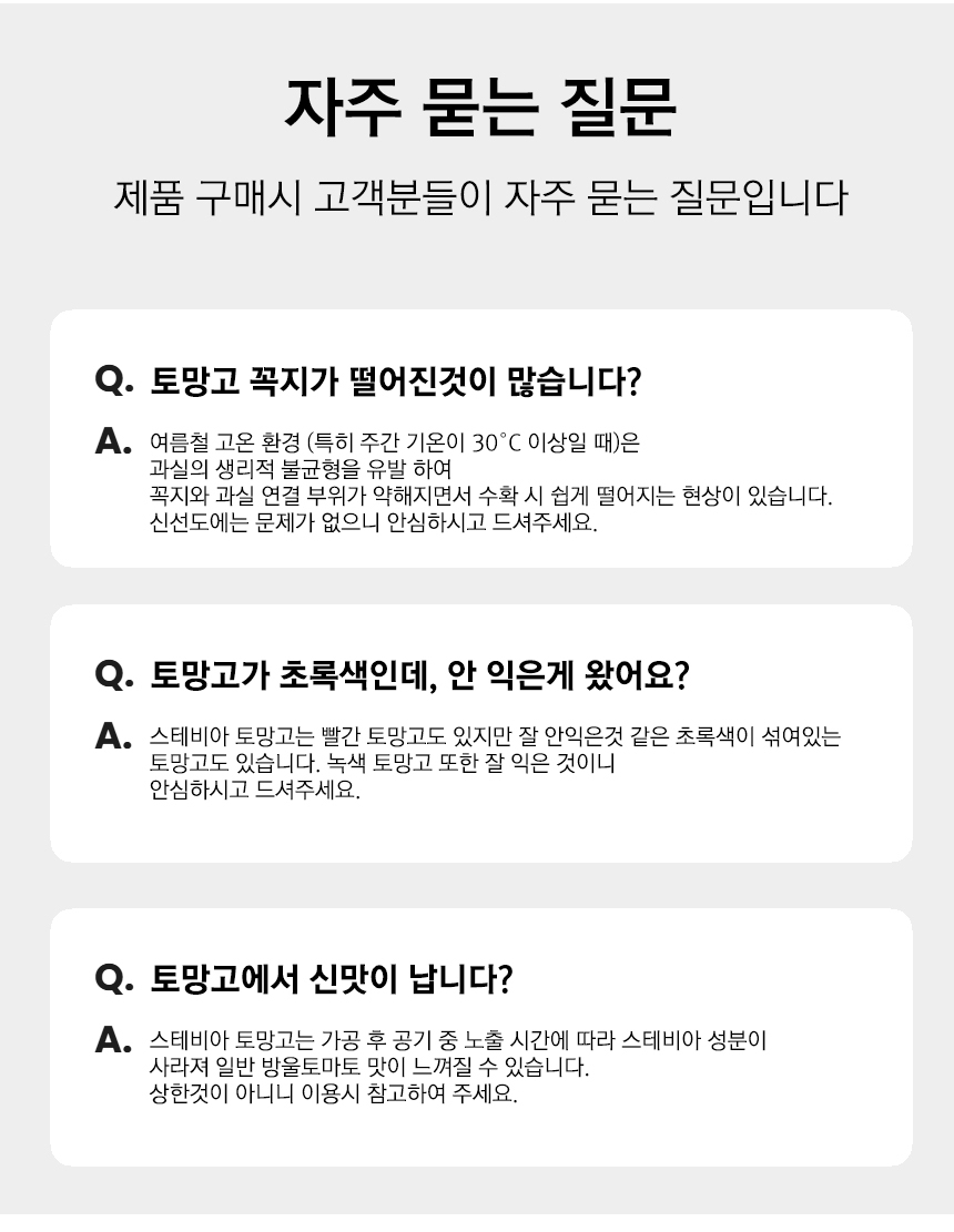 토망고QA (1).jpg