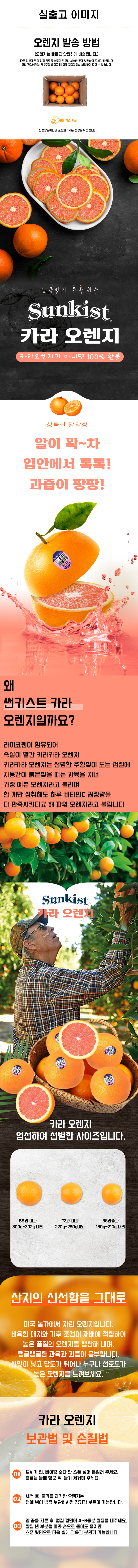 카라카라오렌지.jpg